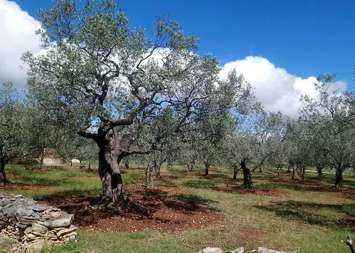 House Batel Vikendica *